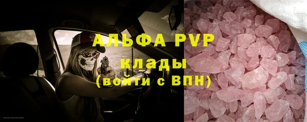 дурь Инсар