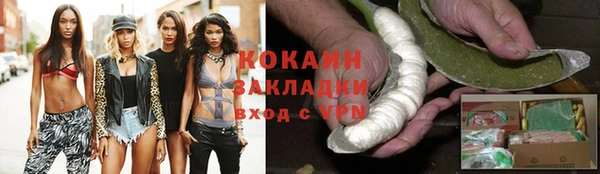 дурь Инсар