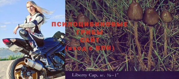 дурь Инсар