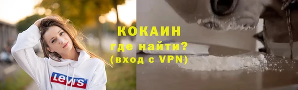 твердый Инта