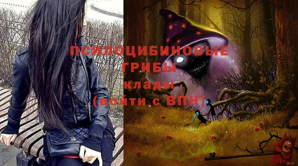 твердый Инта