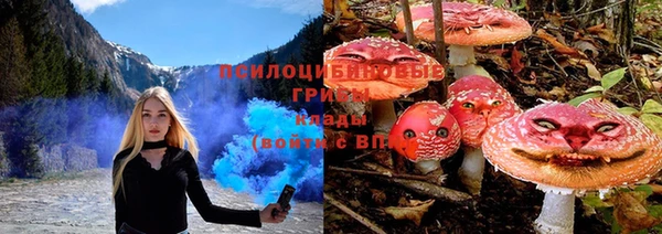 спайс Иннополис