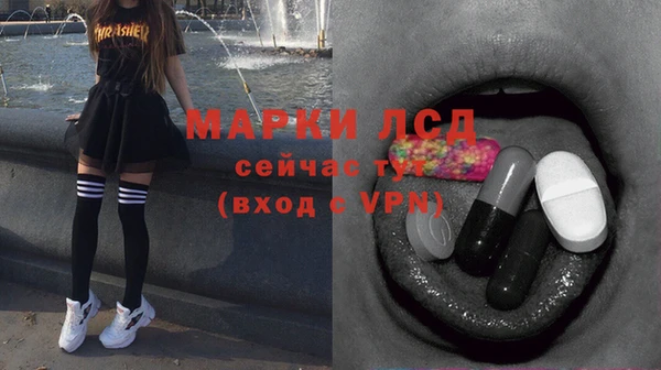 твердый Инта