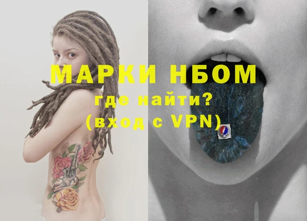 твердый Инта