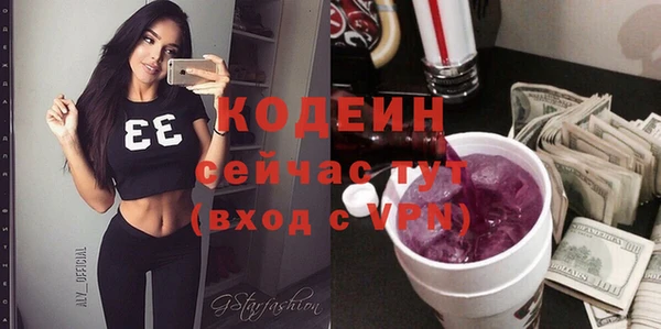 дурь Инсар