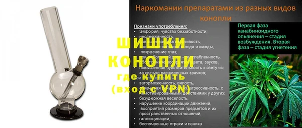 твердый Инта