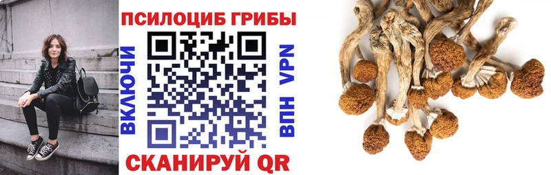 Купить где  Усолье-Сибирское  Псилоцибиновые грибы Cubensis 